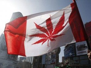 Canada Marijuana Flag